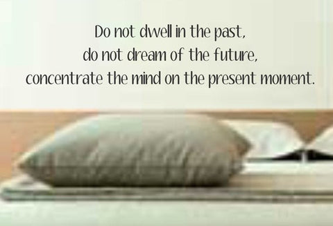 Do Not Dwell In The Past Quote Decal Sticker Wall Vinyl Decor Art - boop decals - vinyl decal - vinyl sticker - decals - stickers - wall decal - vinyl stickers - vinyl decals