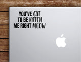 You've Cat To Be Kitten Me Right Meow Laptop Wall Decal Sticker Vinyl Art Quote Macbook Apple Decor Car Window Truck Teen Inspirational Girls Animal Funny